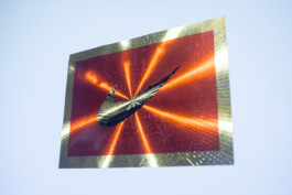 Morf.st / Barbara Janczak