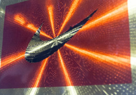 Morf.st / Barbara Janczak