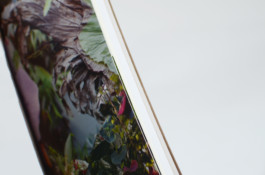 Morf.st / Barbara Janczak