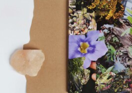 Morf.st / Barbara Janczak