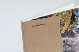 Morf.st / Barbara Janczak