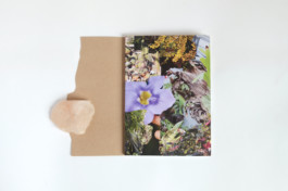 Morf.st / Barbara Janczak