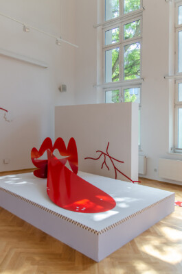 Morf.st / Barbara Janczak