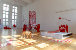 Morf.st / Barbara Janczak