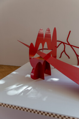 Morf.st / Barbara Janczak