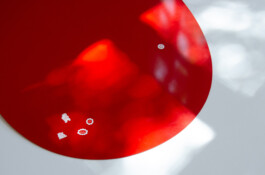 Morf.st / Barbara Janczak