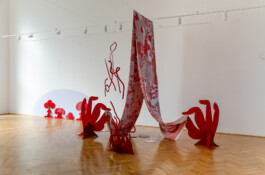 Morf.st / Barbara Janczak