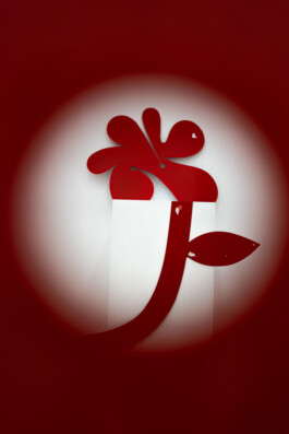 Morf.st / Barbara Janczak