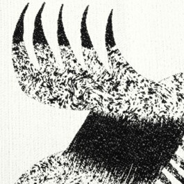 Morf.st / Barbara Janczak